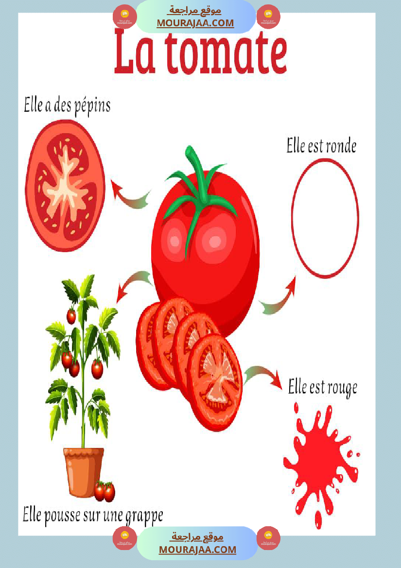 affichage decrire les legumes