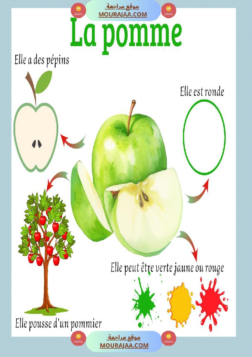 affichage decrire les legumes