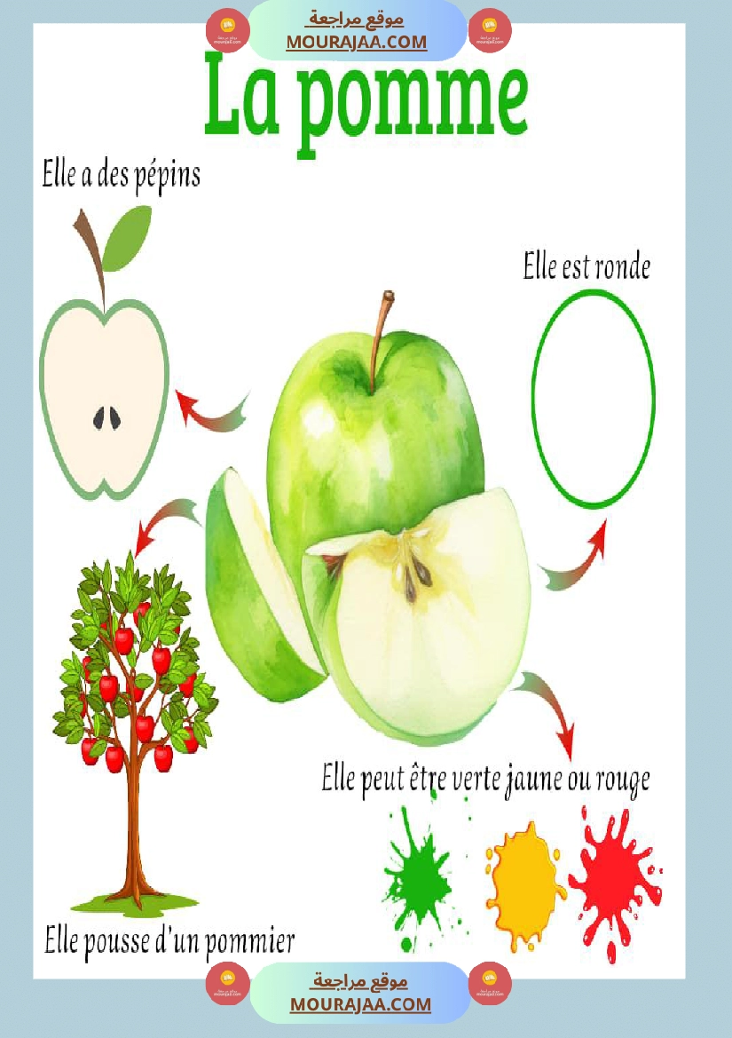 affichage decrire les legumes صفحة 2