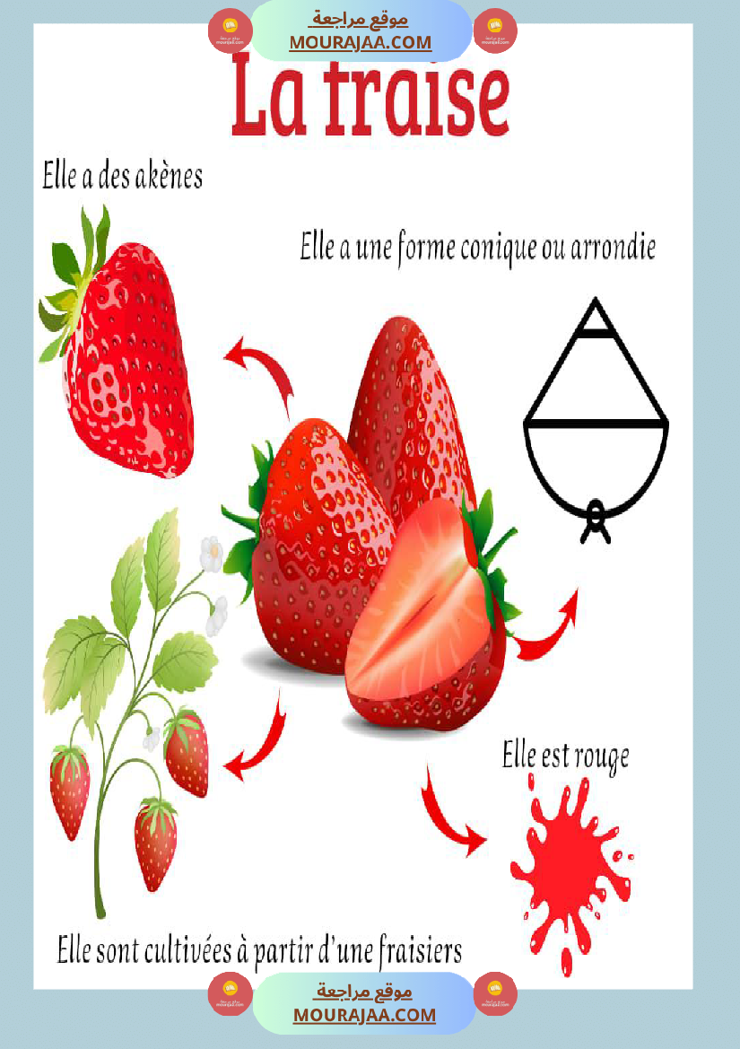affichage decrire les legumes