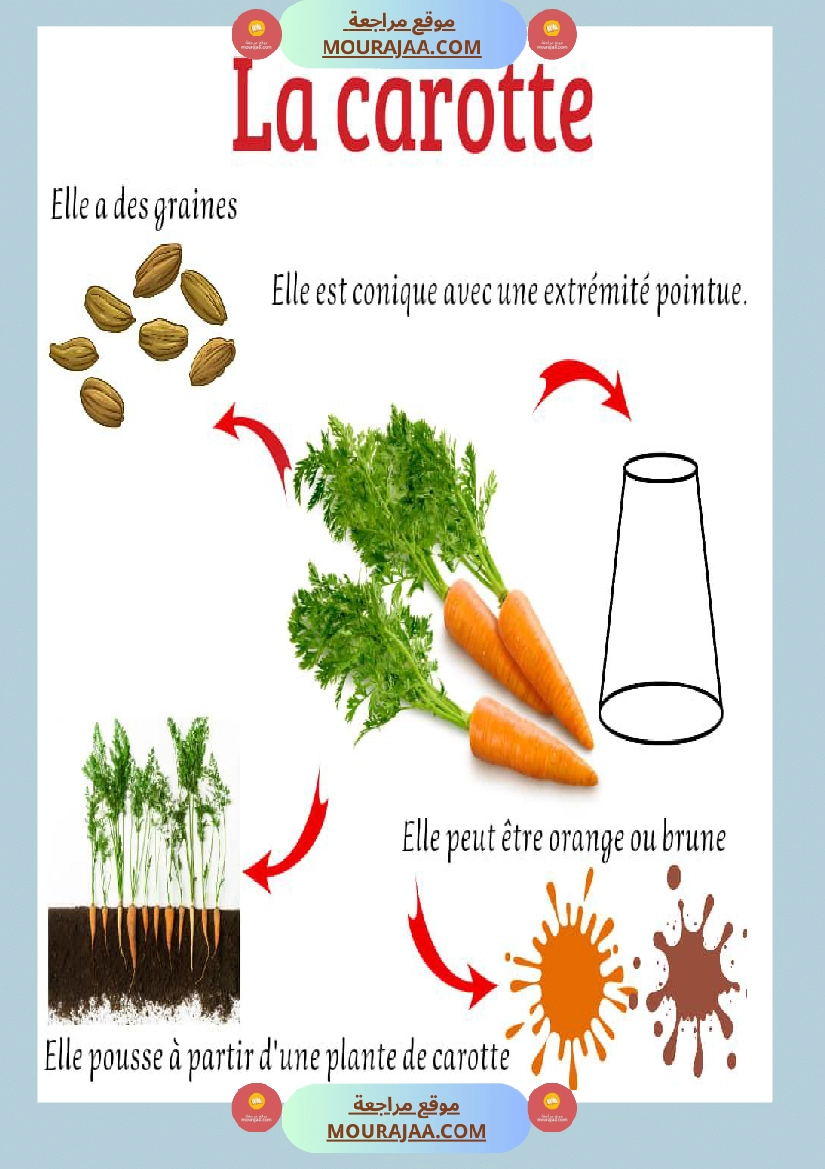 affichage decrire les legumes صفحة 4