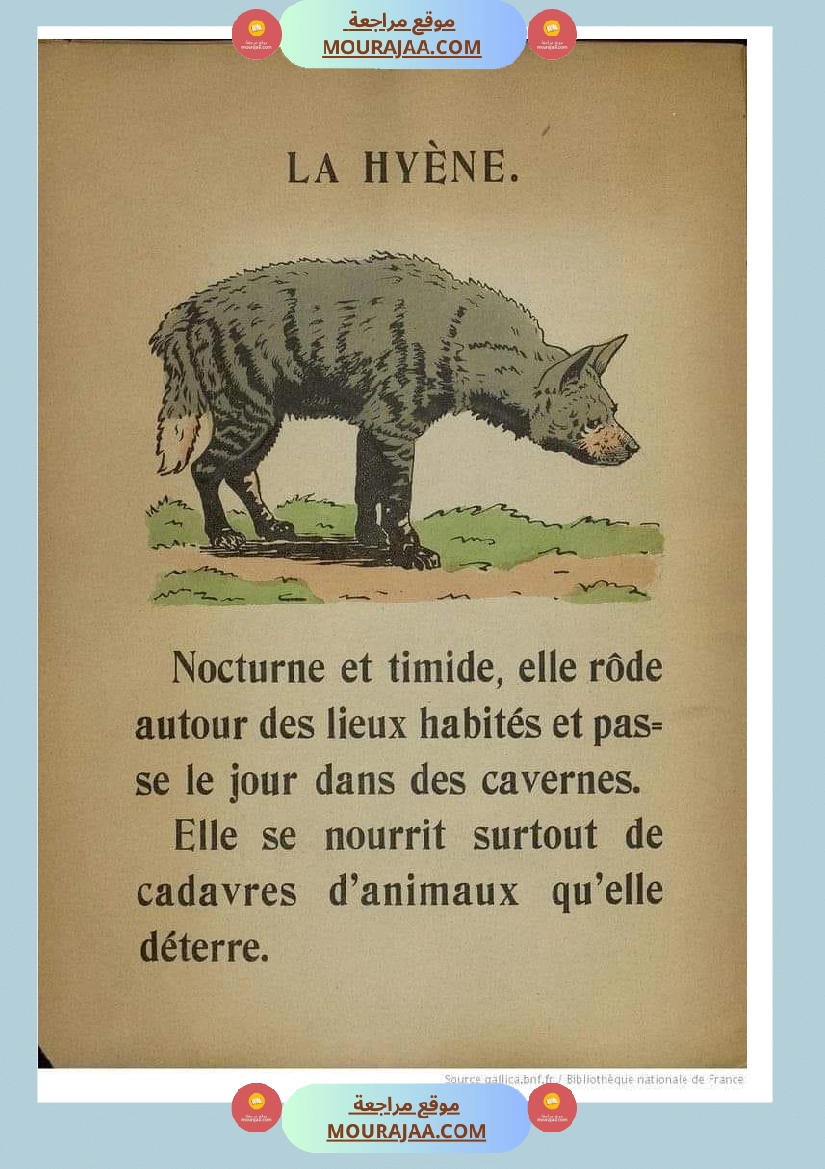 decrire les animaux 2 صفحة 2