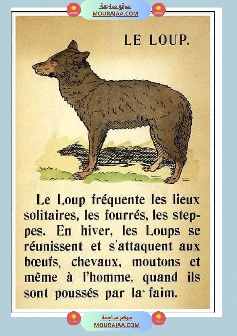 decrire les animaux 2 صفحة 3