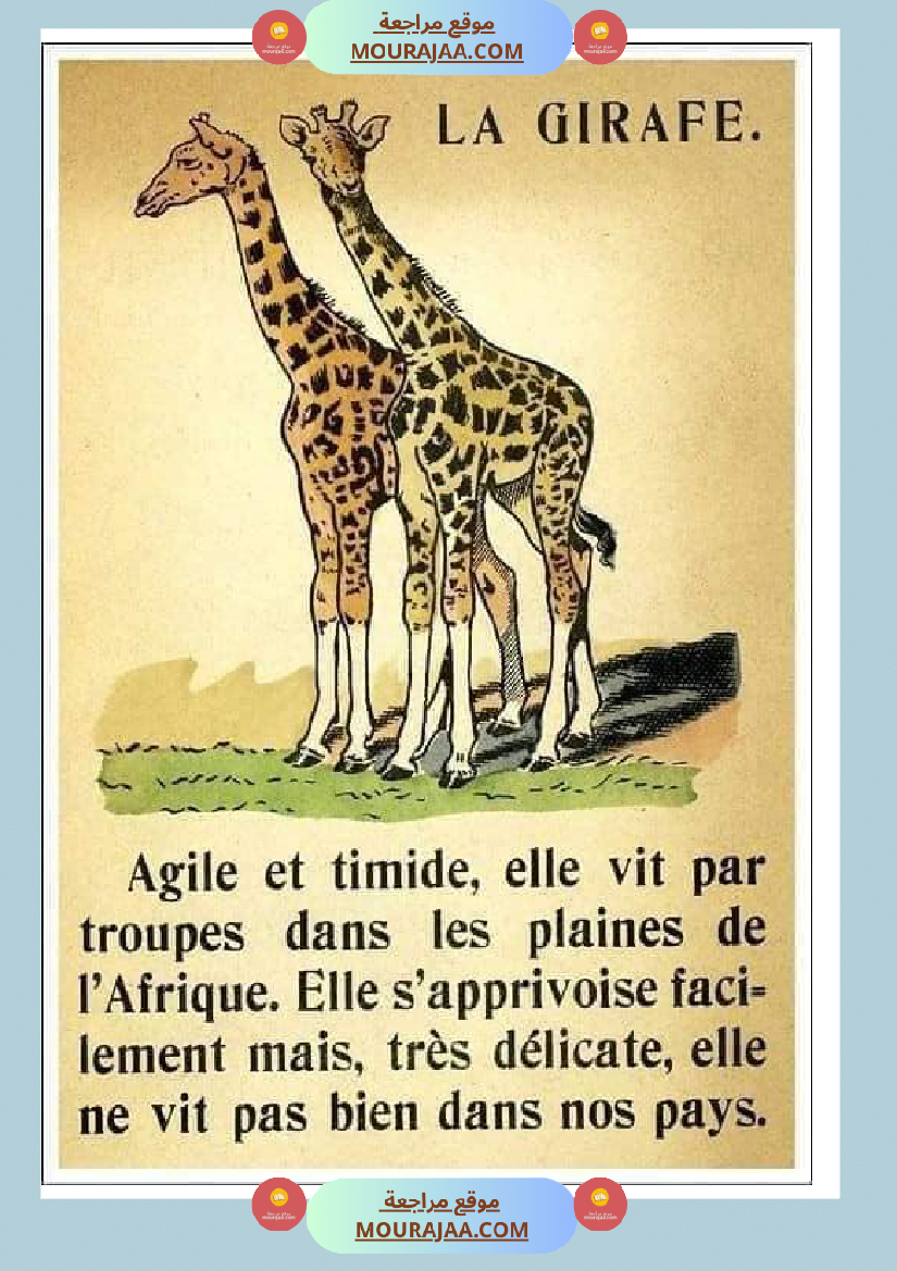 decrire les animaux 2