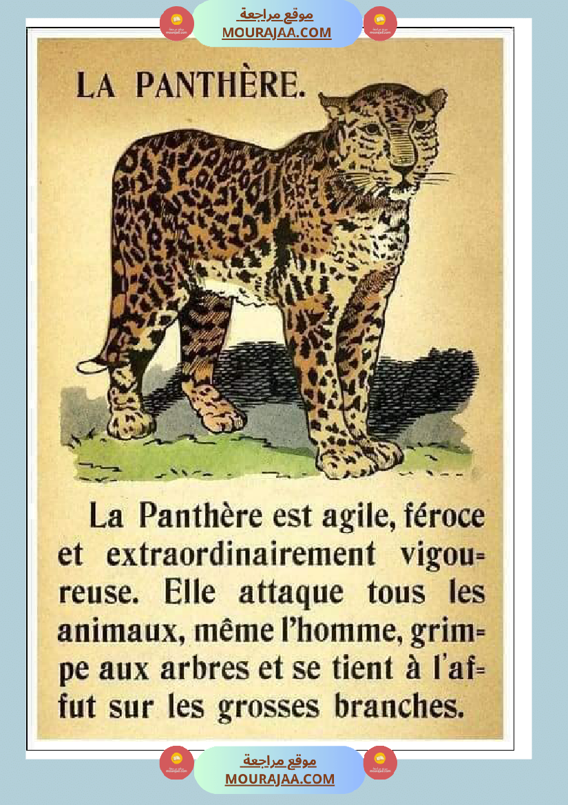 decrire les animaux 2