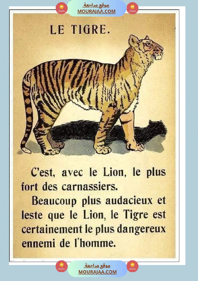 decrire les animaux 2 صفحة 7