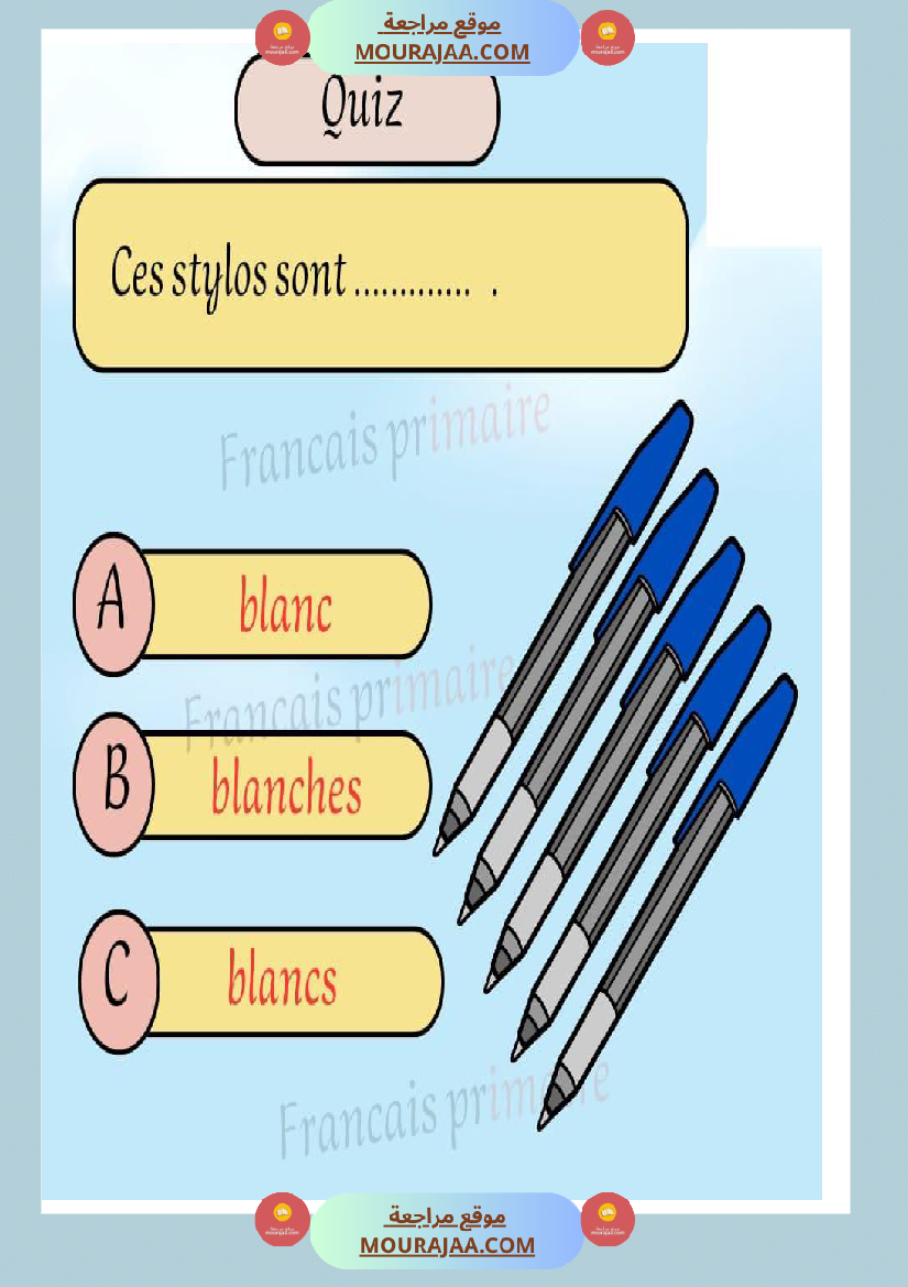 exercice grammaire genre et nombre classe ce