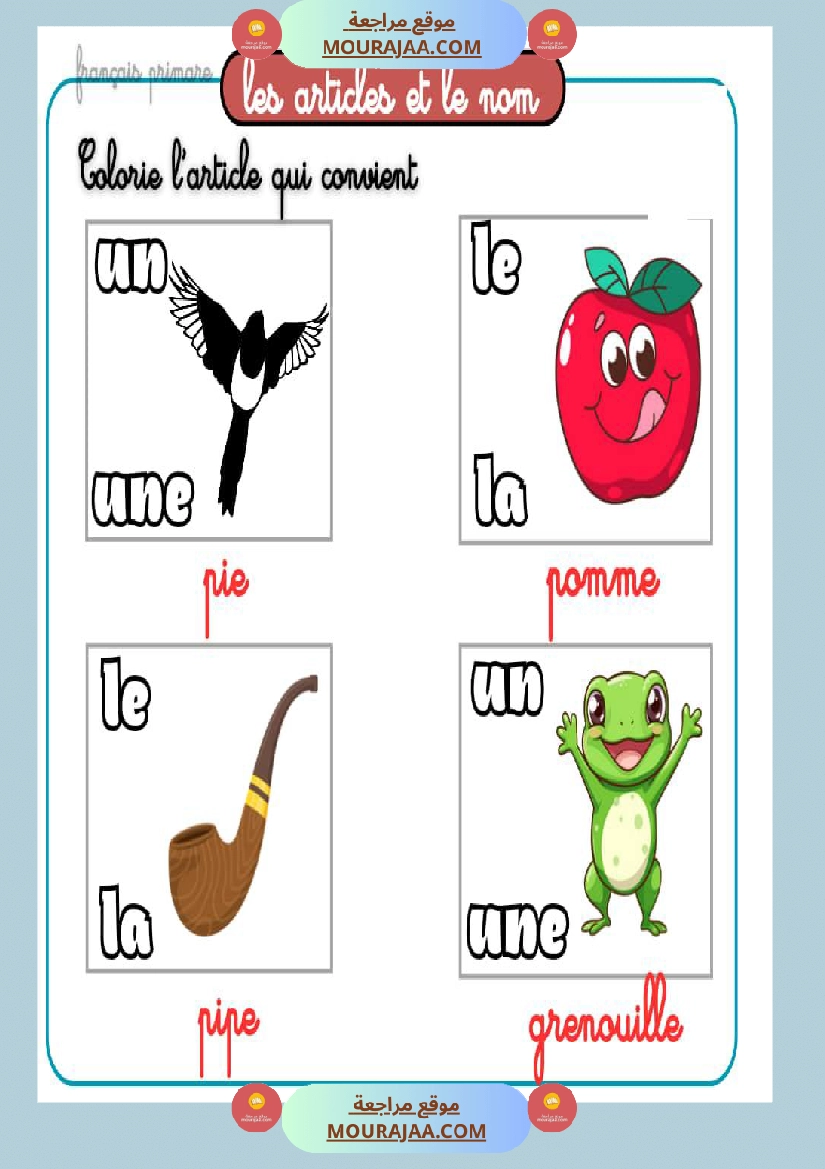 exercices les articles et le nom صفحة 12