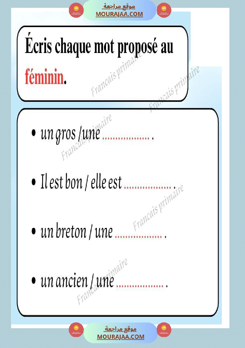 exercices sur les feminins et les masculins