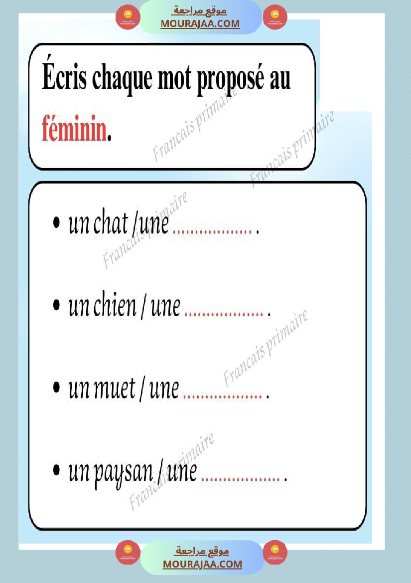 exercices sur les feminins et les masculins
