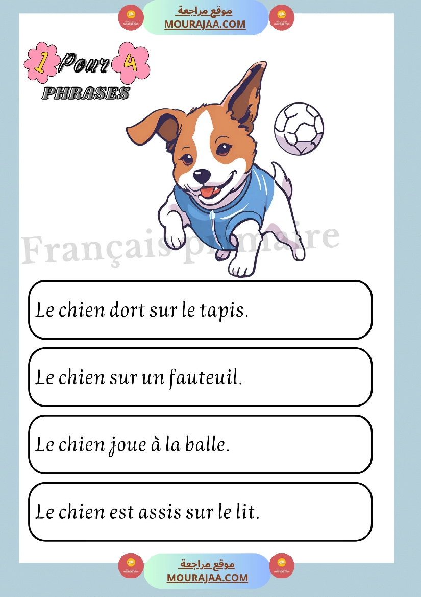 exercices sur les phrases صفحة 4