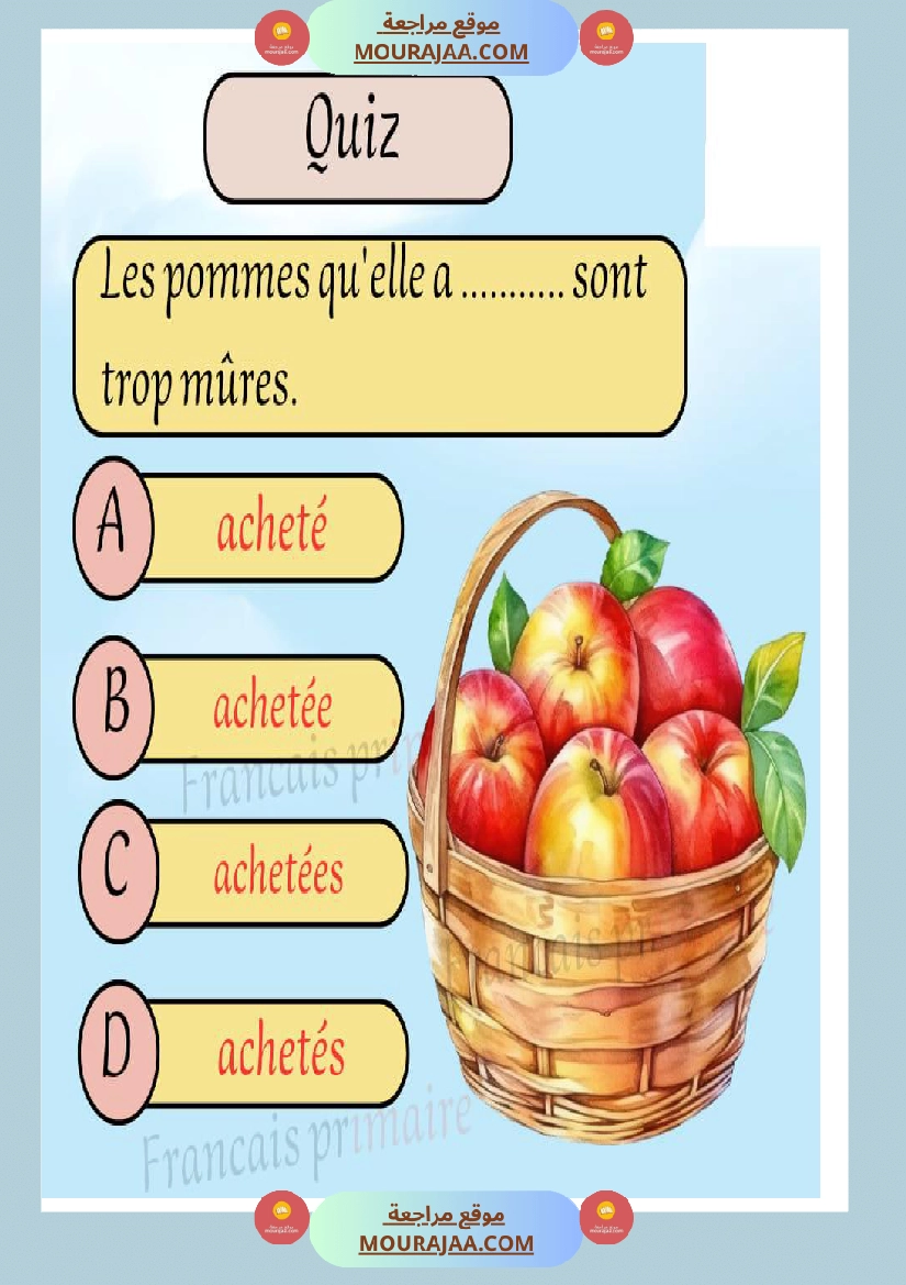 exercices sur pluriels verbes et noms صفحة 11