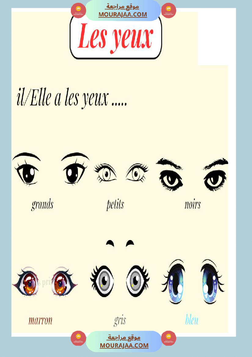 faire la description d'une personne