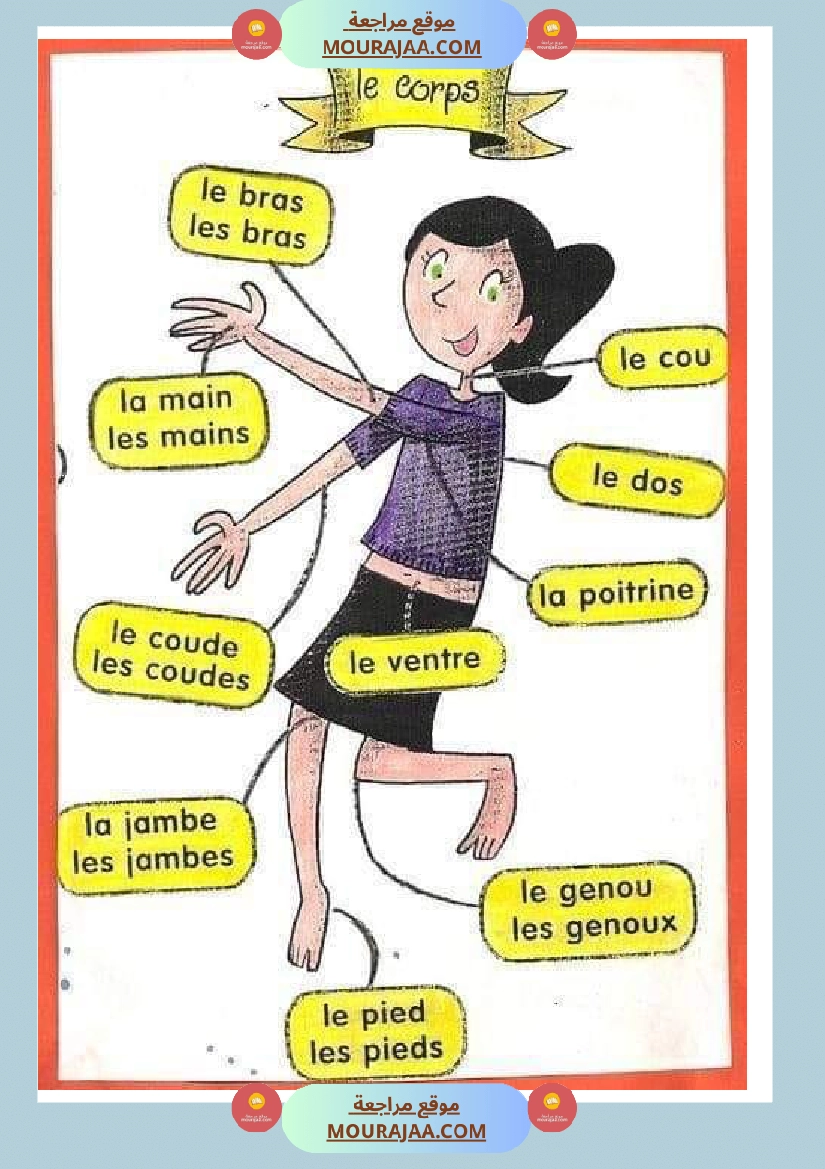 le corps