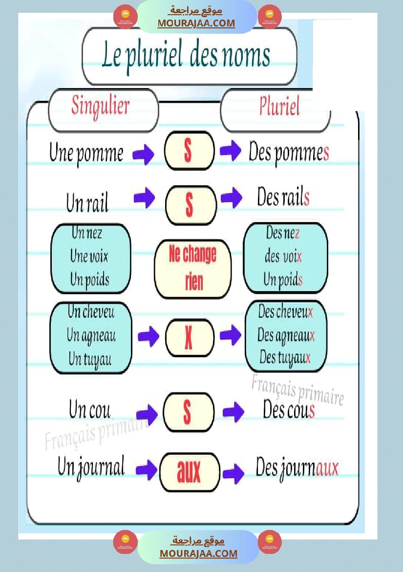 le pluriels des noms