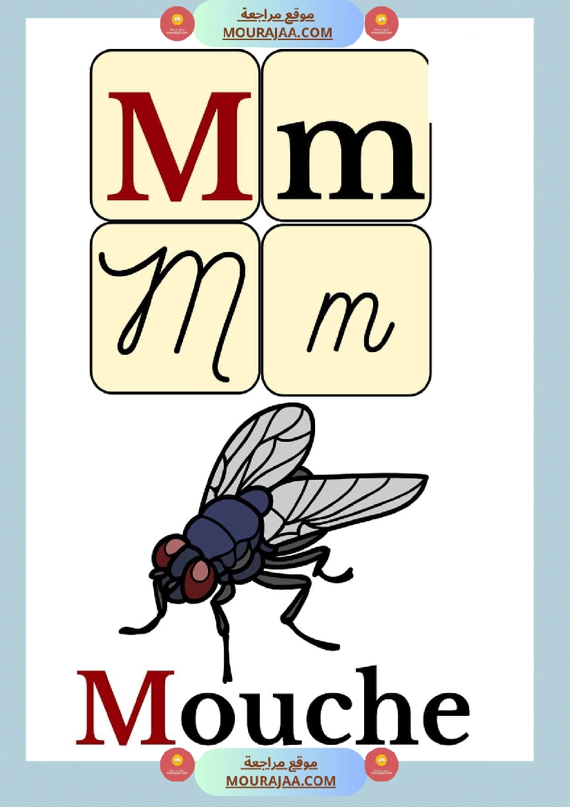 les alphabets en mots صفحة 11