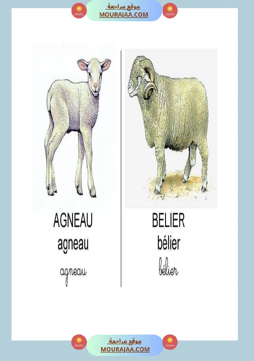 les animaux dans la ferme صفحة 12