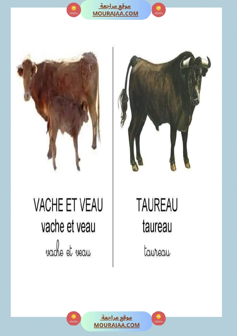 les animaux dans la ferme صفحة 3