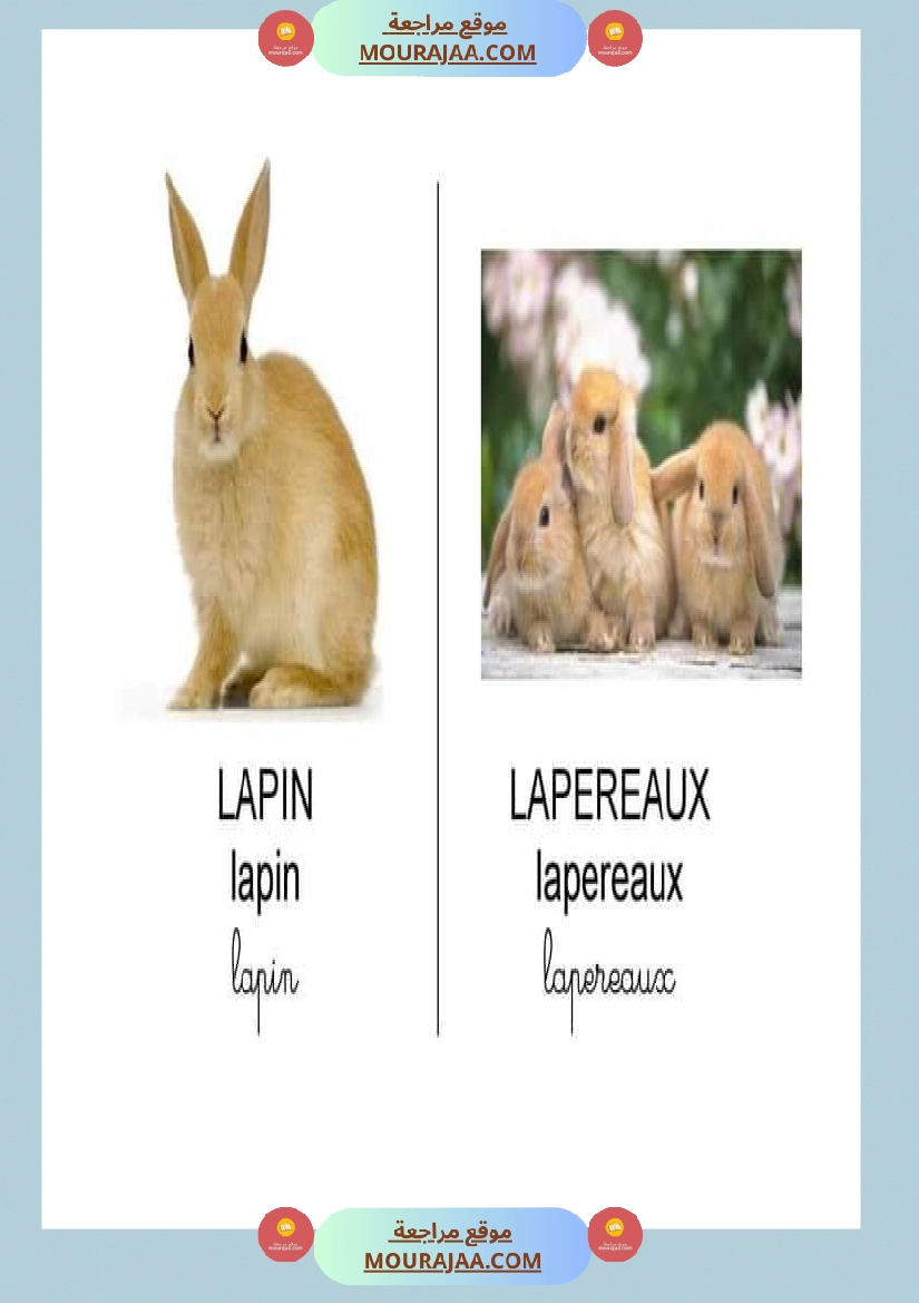 les animaux dans la ferme صفحة 5