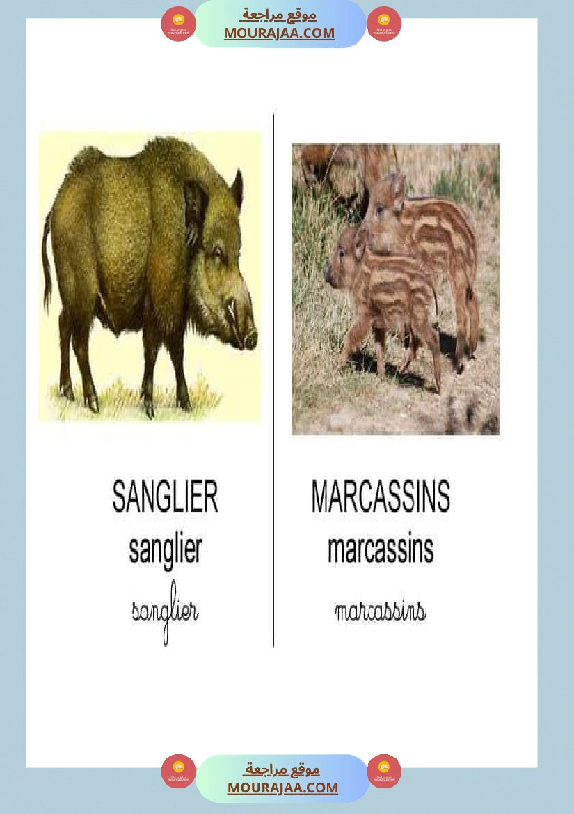 les animaux dans la ferme صفحة 6