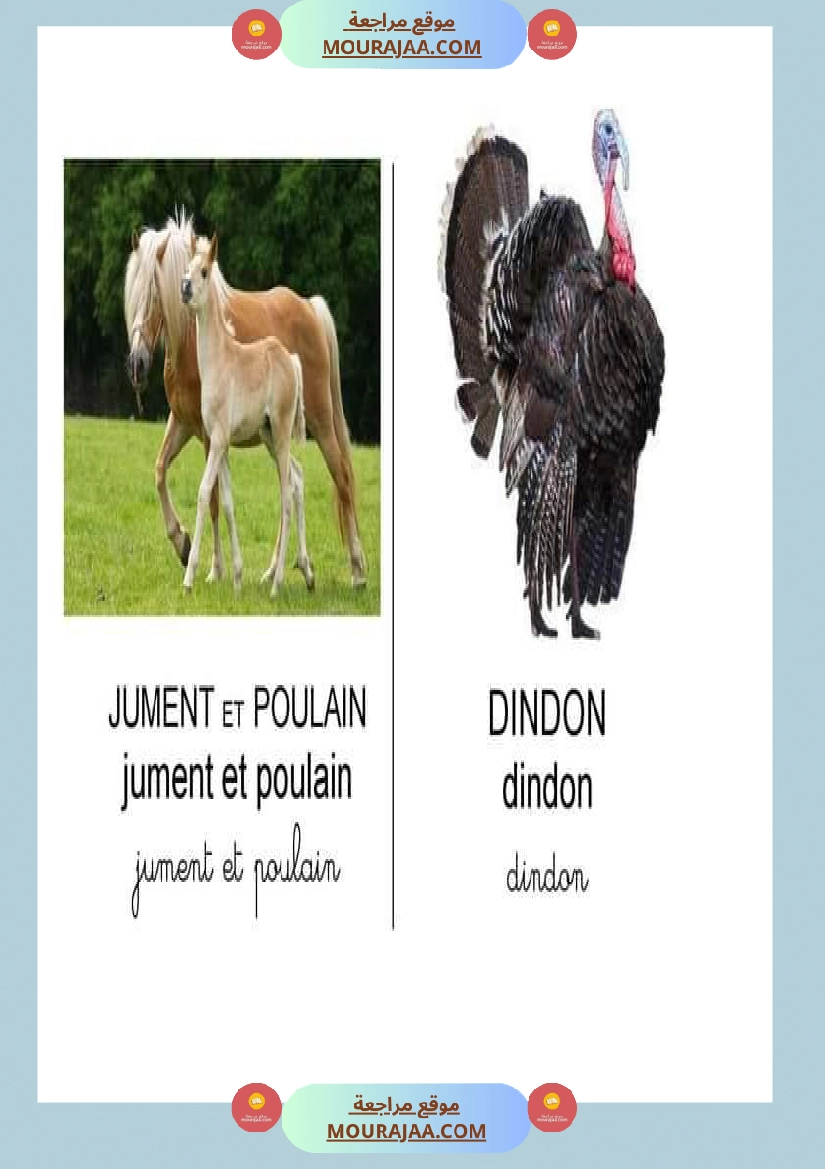 les animaux dans la ferme صفحة 8