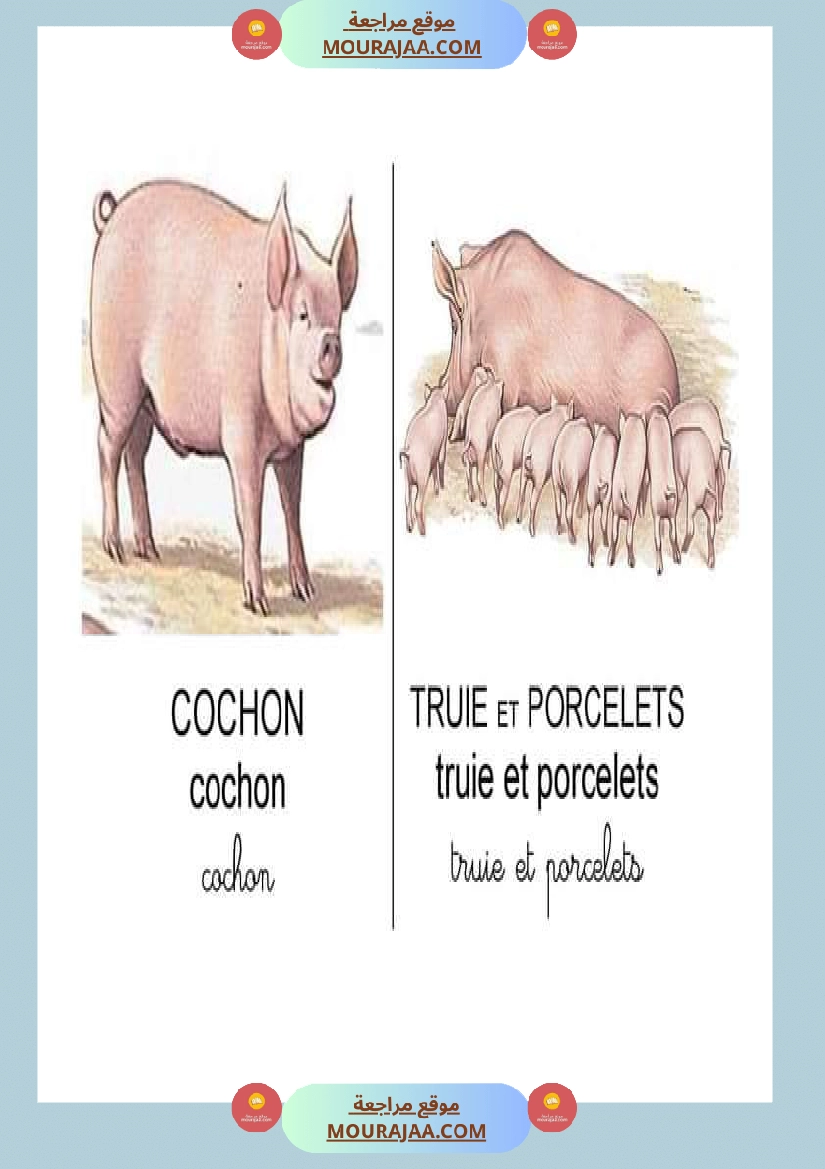 les animaux dans la ferme صفحة 9