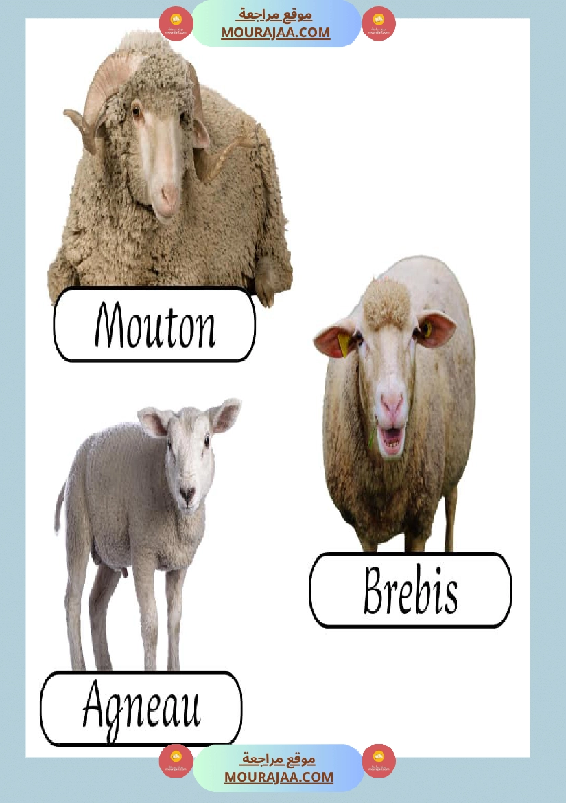 les animaux de la ferme 2 صفحة 5