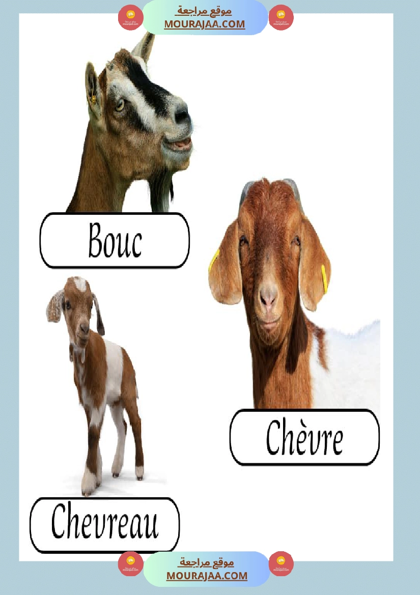 les animaux de la ferme 2 صفحة 6