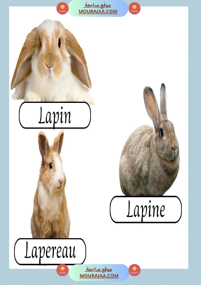 les animaux de la ferme 2 صفحة 7