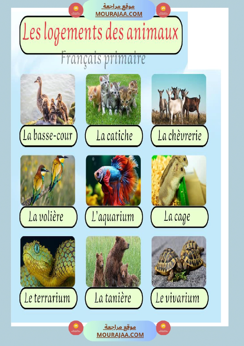 les logements des animaux صفحة 2
