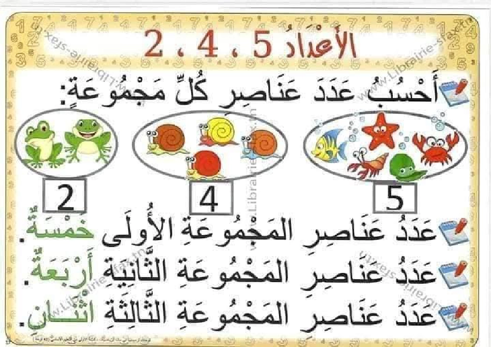 السنة اولى لوحات ترسخية في مادة الرياضيات لتلاميذ السنة الأولى لكامل السنة صفحة 11