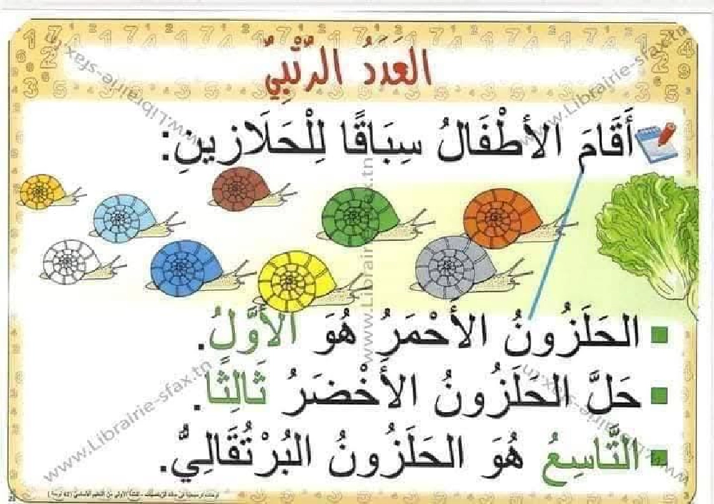 السنة اولى لوحات ترسخية في مادة الرياضيات لتلاميذ السنة الأولى لكامل السنة صفحة 19