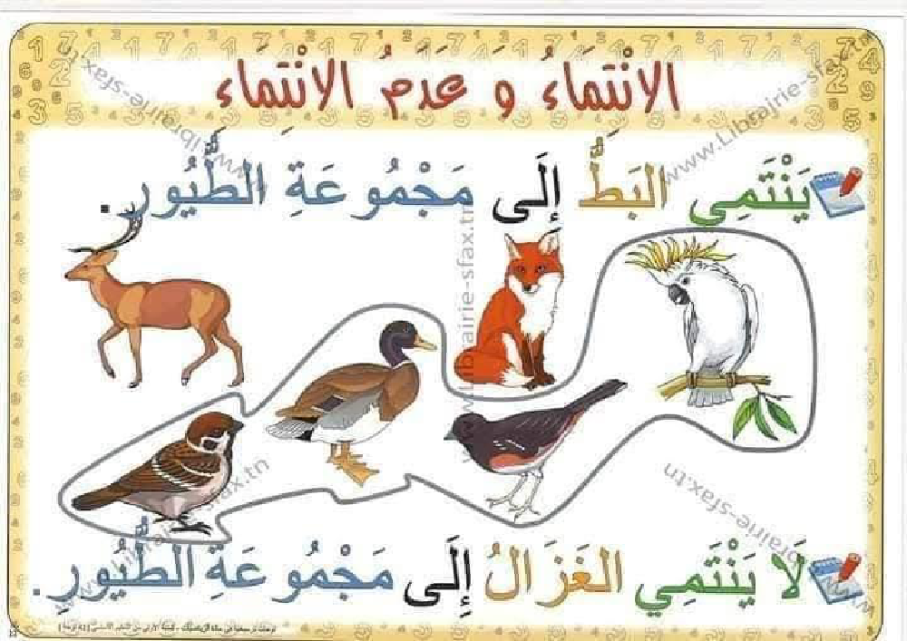 السنة اولى لوحات ترسخية في مادة الرياضيات لتلاميذ السنة الأولى لكامل السنة