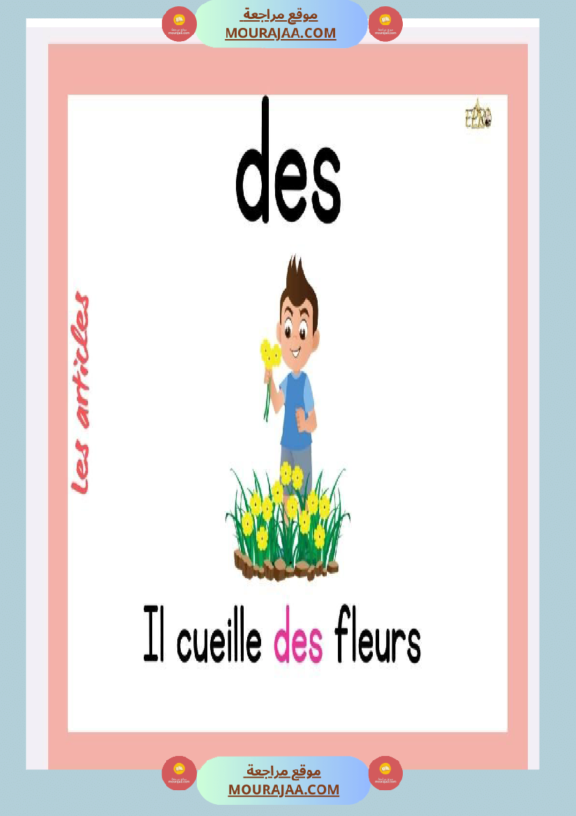 affichage articles 4eme annee