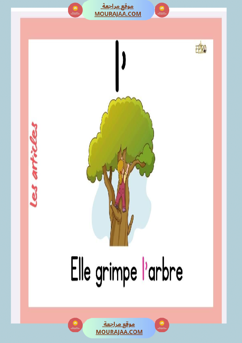 affichage articles 4eme annee
