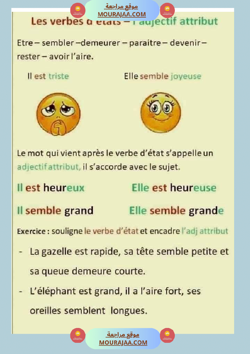 fiche 6eme annee langue