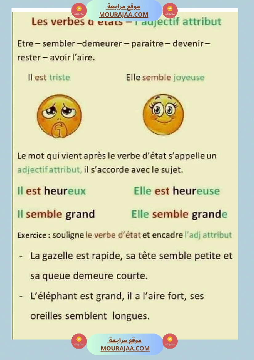 fiche 6eme annee langue صفحة 12