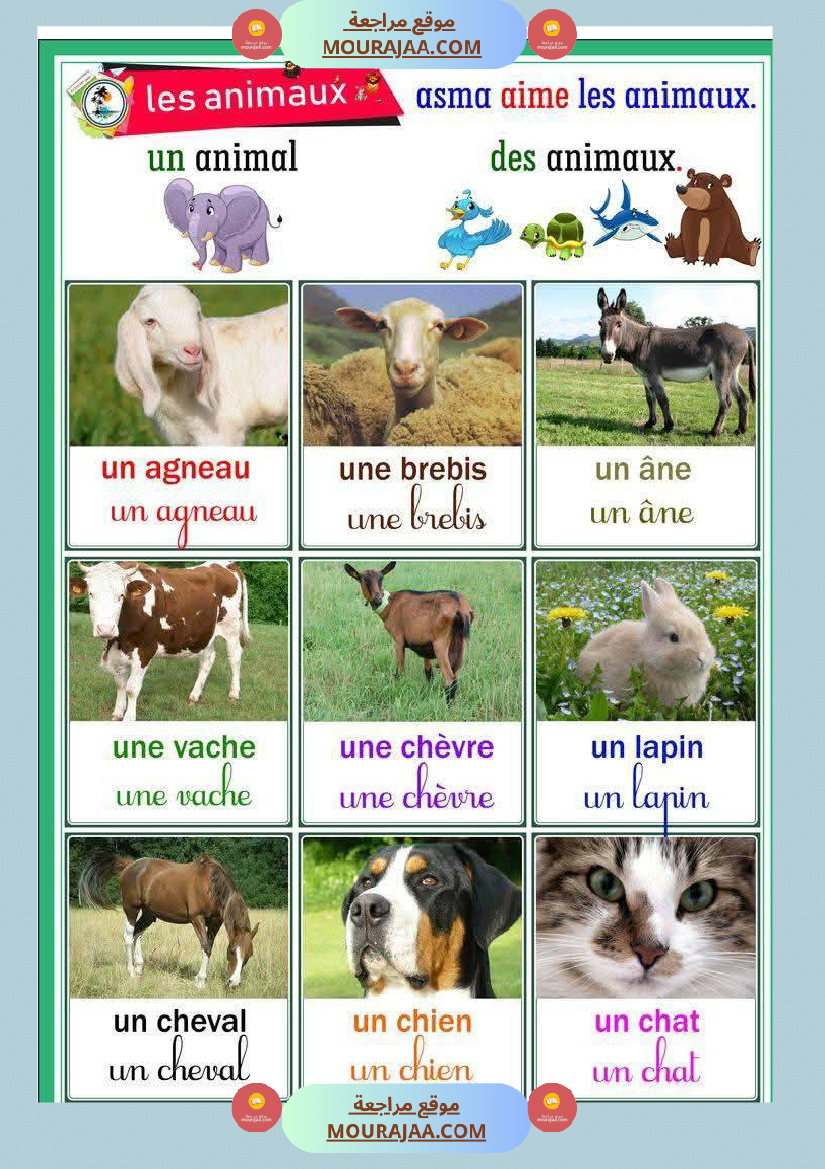 3eme annee revision unite