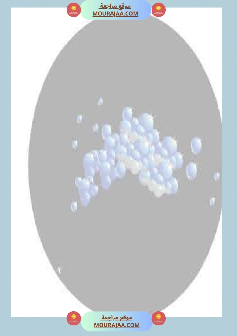 3eme annee unite 3 mon corps صفحة 8