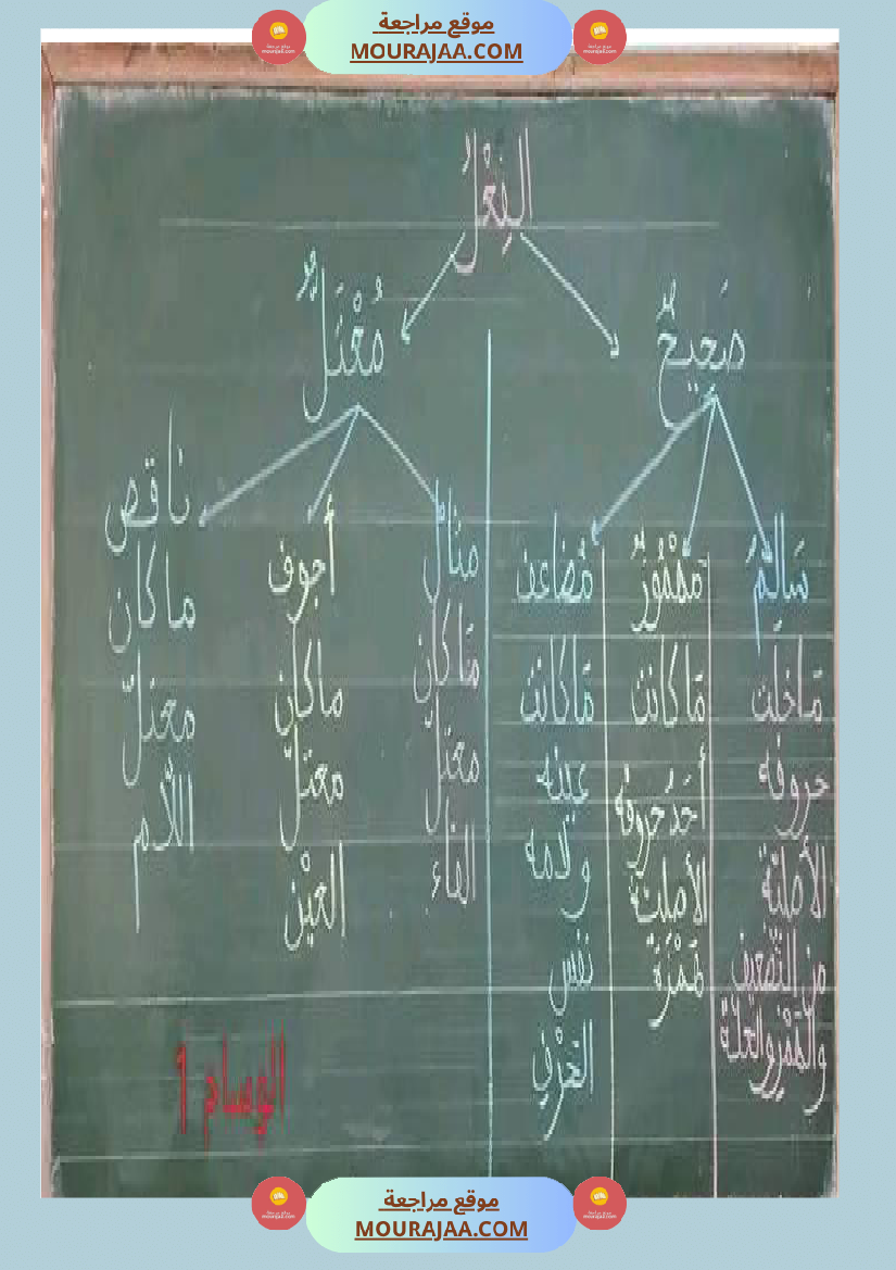 الفعل بمختلف أنواعه س5