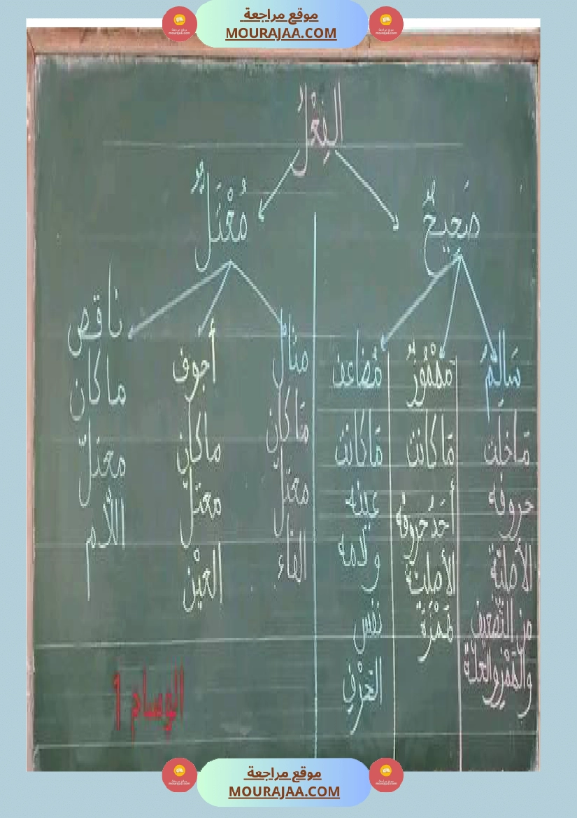 الفعل بمختلف أنواعه س5