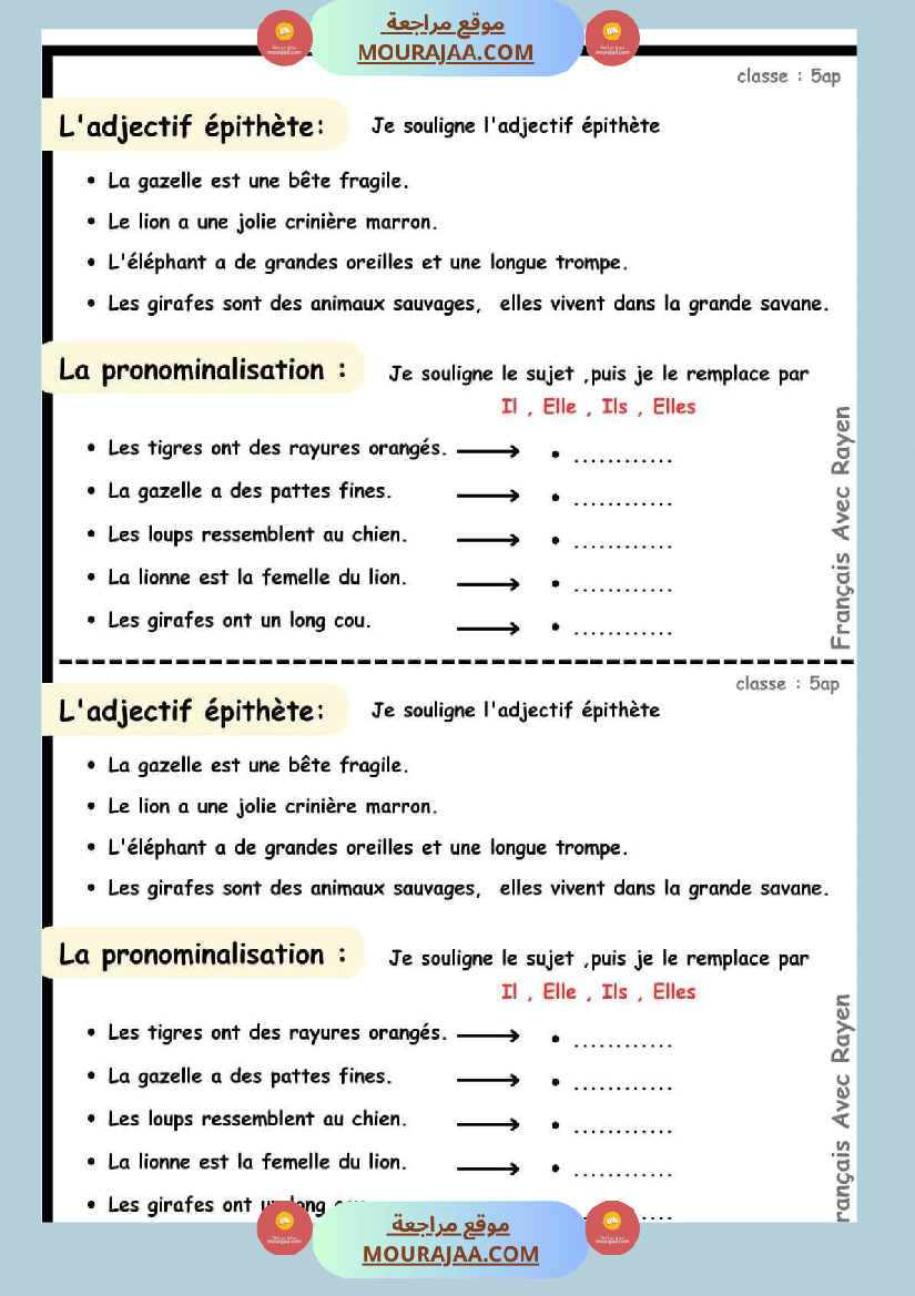 l adjectif epithete la pronominalisation 5eme
