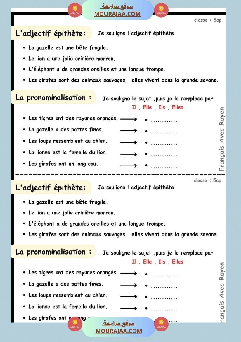 l adjectif epithete la pronominalisation 5eme
