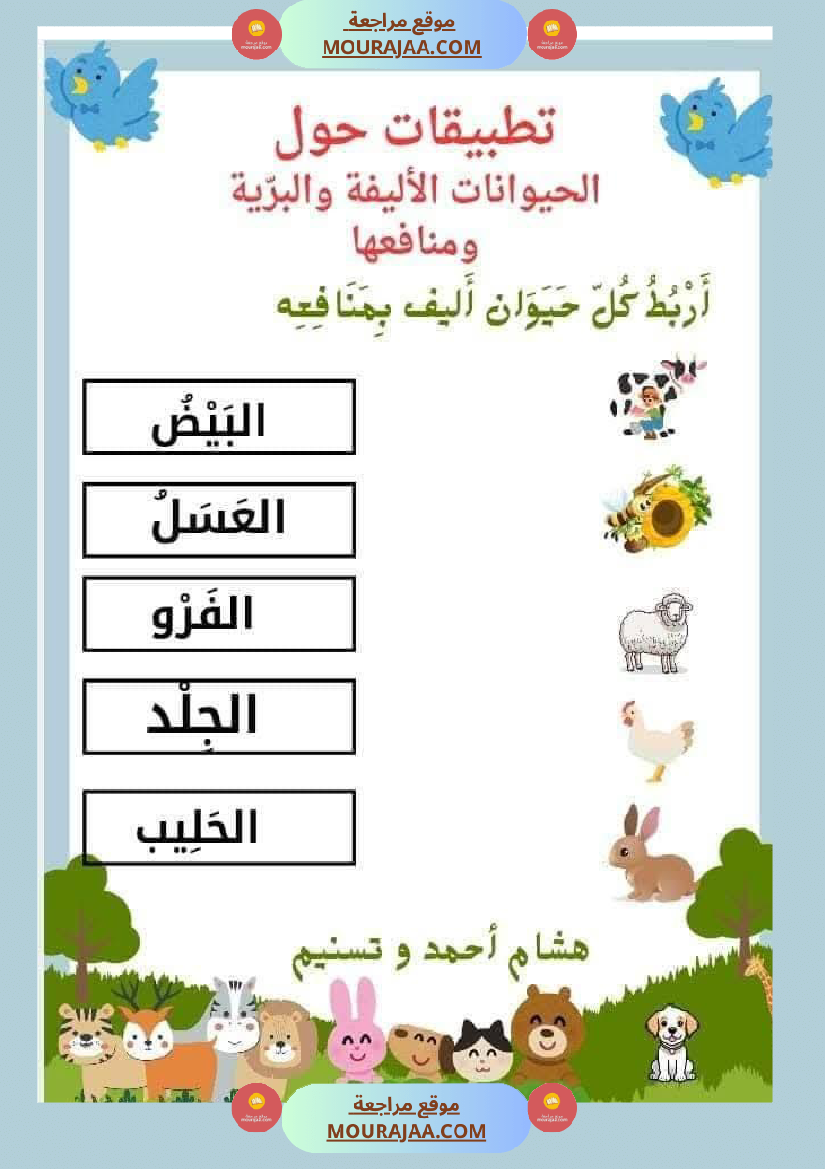 السنة الثانية تطبيقات في الايقاظ العلمي الحيوانات النباتات التغطية اللتر والمتر
