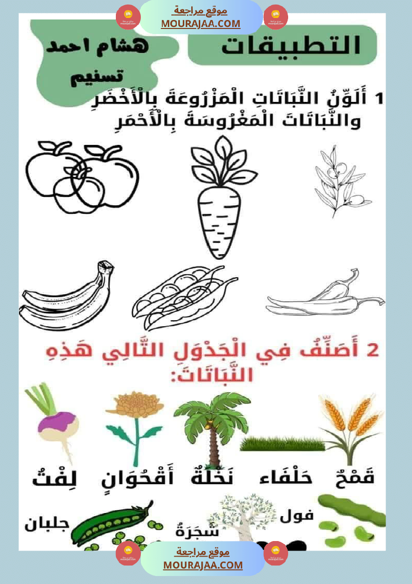 السنة الثانية تطبيقات في الايقاظ العلمي الحيوانات النباتات التغطية اللتر والمتر