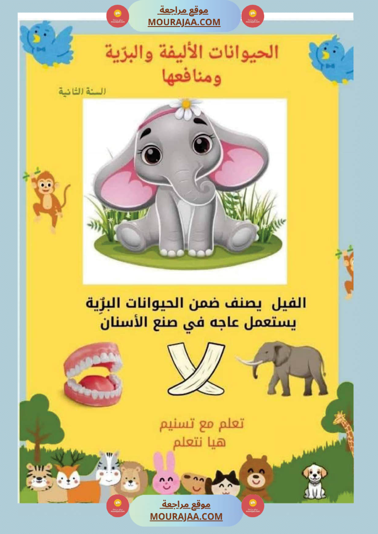 السنة ثانية بحوث وخلاصات الايقاظ الثلاثي الاول كامل مرفقة بتطبيقات الحيوانات النباتات التغطية