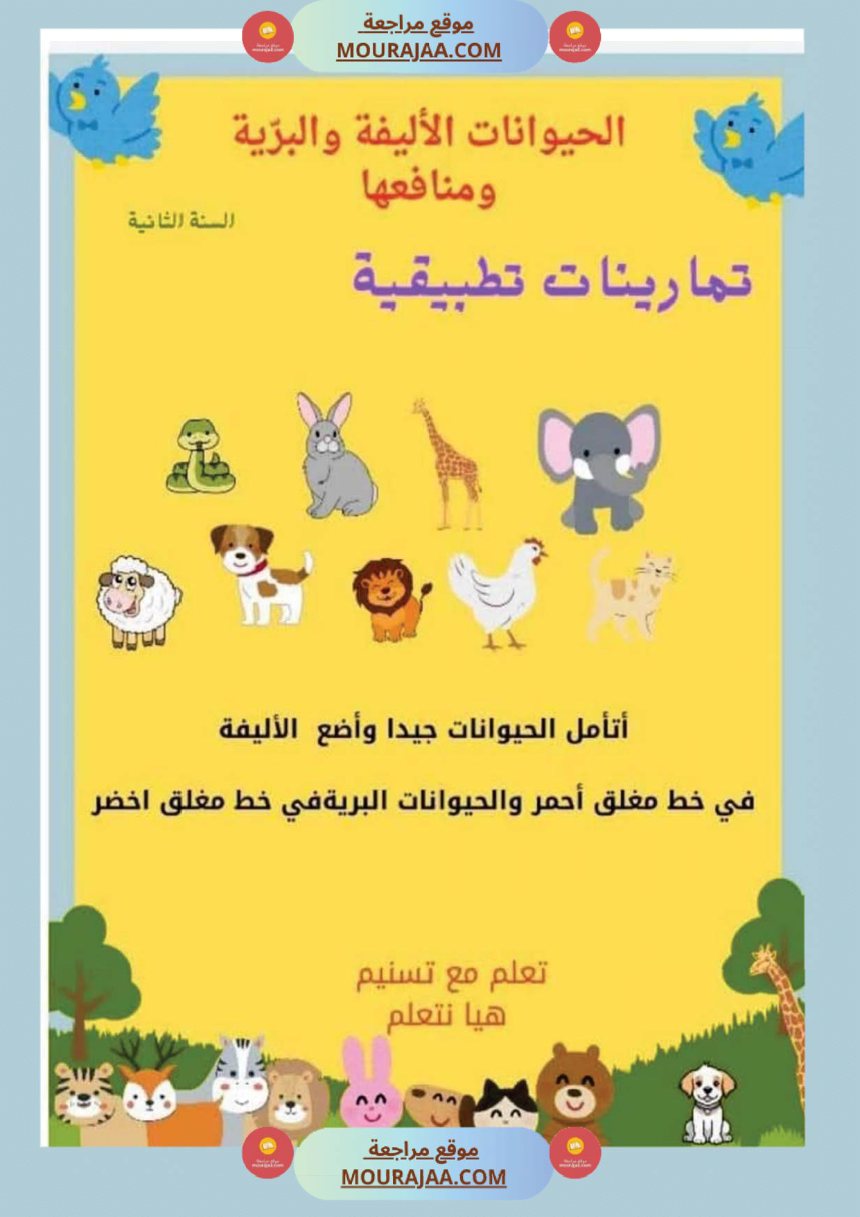 السنة ثانية بحوث وخلاصات الايقاظ الثلاثي الاول كامل مرفقة بتطبيقات الحيوانات النباتات التغطية صفحة 8