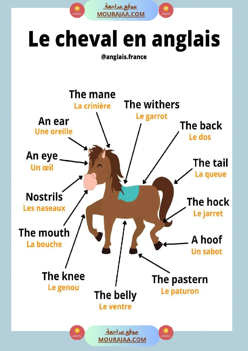 anglais francais merci au concepteur 4eme صفحة 2