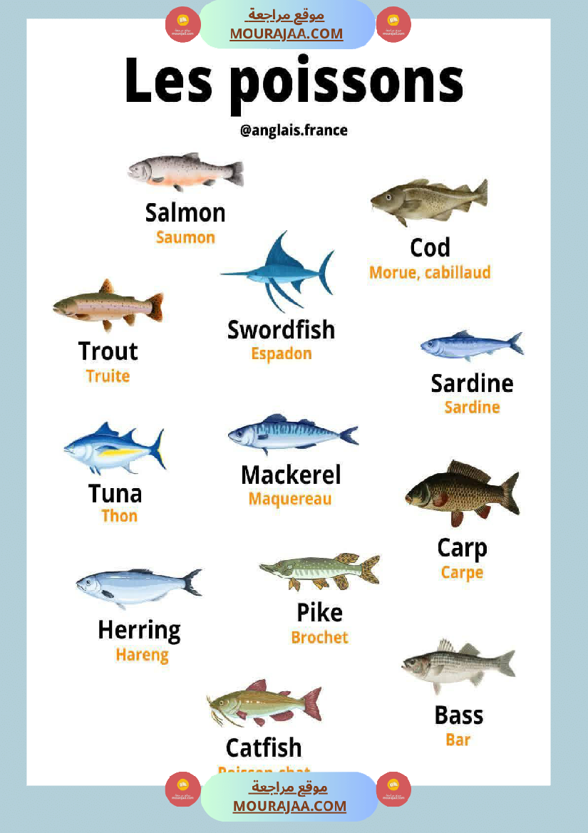 anglais francais merci au concepteur 4eme