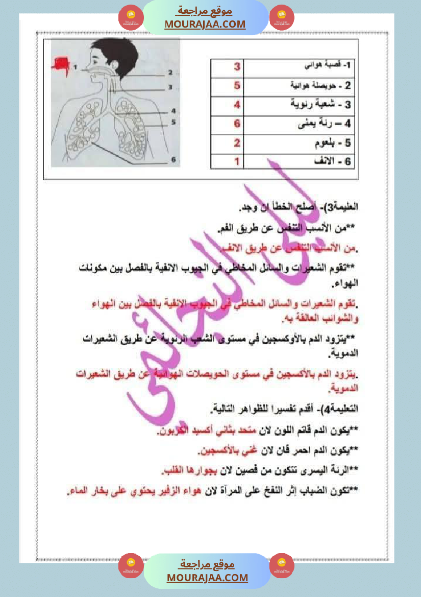 السنة السادسة إختبار نهاية الثلاثي الأول في مادة الإيقاظ العلمي مرفق بالإصلاح